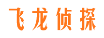 叠彩寻人公司